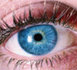 des cils qui poussent et s'allongent avec RevitaLash