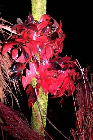 mini-bouquet-rouge