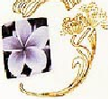 ----------> motif complet
