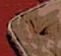 ---------------> zoom