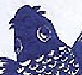 ---------------> zoom