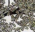 ---------------> zoom