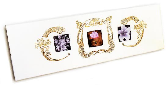 ----------> motif complet