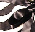 ----------------> zoom