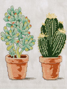 broderie 4 cactus