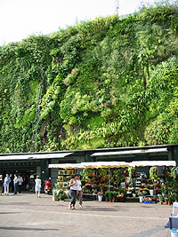 Les Halles d'Avignon. (D.R.) Les Halles d'Avignon. (D.R.)