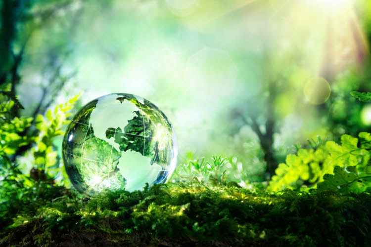 Protection environnement. Protection environnement.