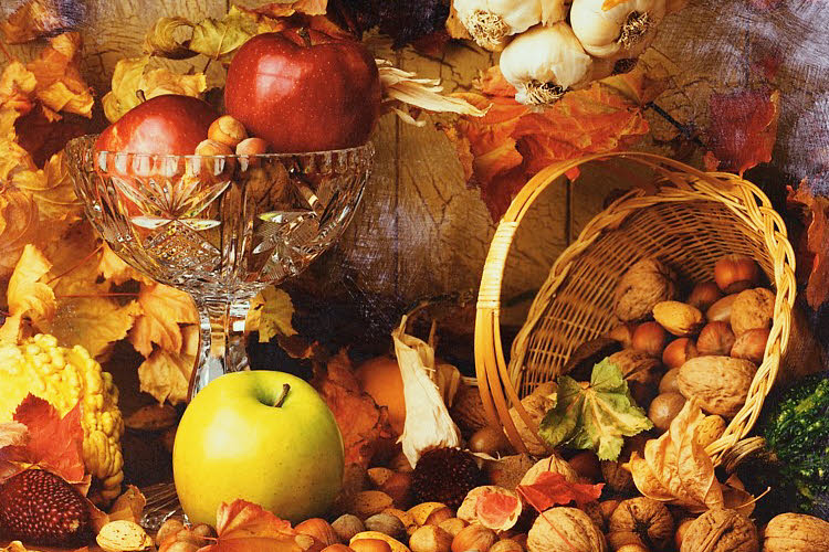 Conseils alimentaires WWF. Conseils alimentaires WWF.