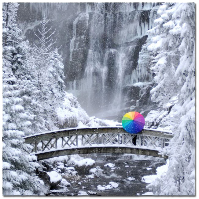 Photographie Irisation 1 de Alain Doucé Photographie Irisation 1 de Alain Doucé