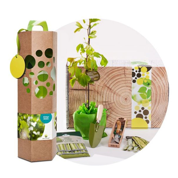 Offrez un arbre ARBRE-CADEAU Offrez un arbre ARBRE-CADEAU