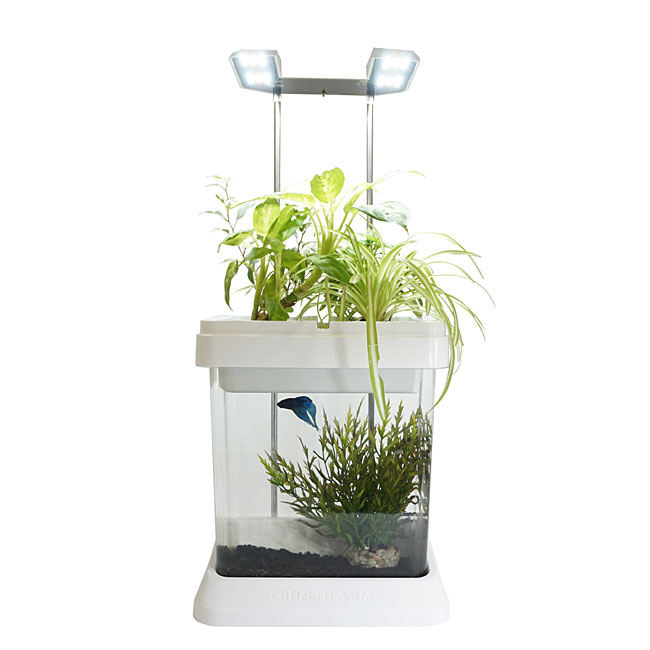 Aquarium-potager intelligent 'Ozarium' CITIZENFARM Aquarium-potager intelligent 'Ozarium' CITIZENFARM