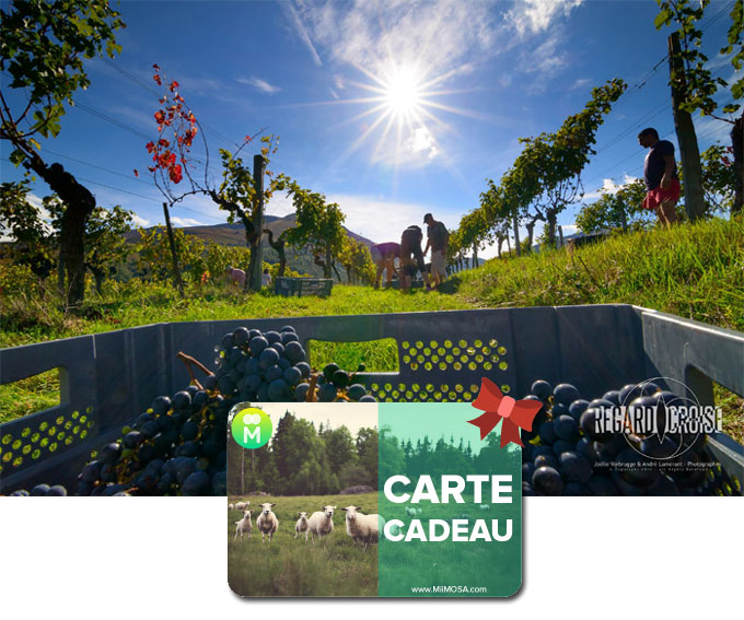 Cartes cadeaux écolo