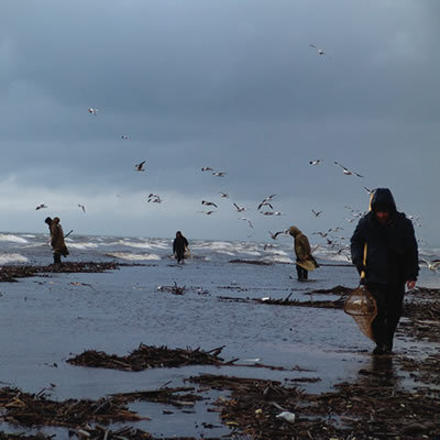 Pêcheurs d'ambre au bord de la mer Baltique