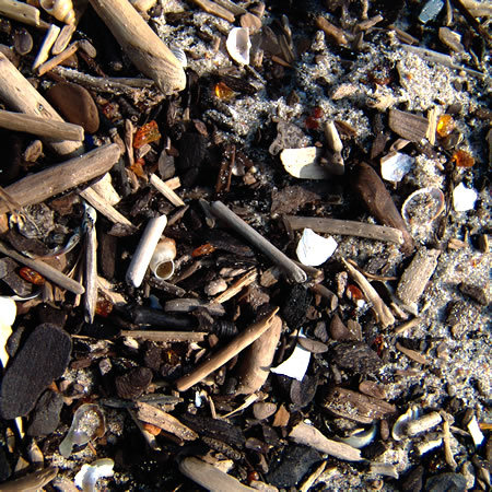 Pierres d'ambre rejetées par la mer Baltique Pierres d'ambre rejetées par la mer Baltique