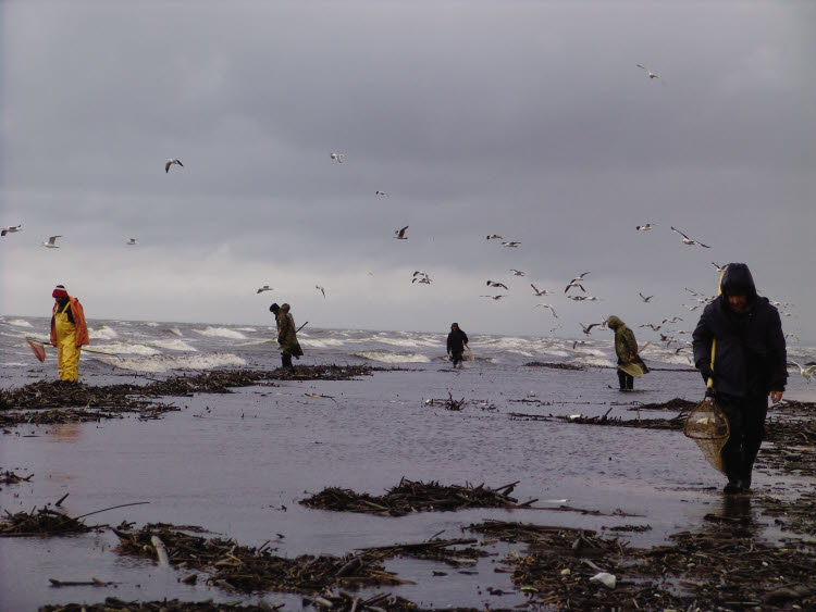 Pêcheurs d'ambre au bord de la mer Baltique à GDANSK © D.R. Pêcheurs d'ambre au bord de la mer Baltique à GDANSK © D.R.