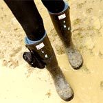 Bottes Hunter