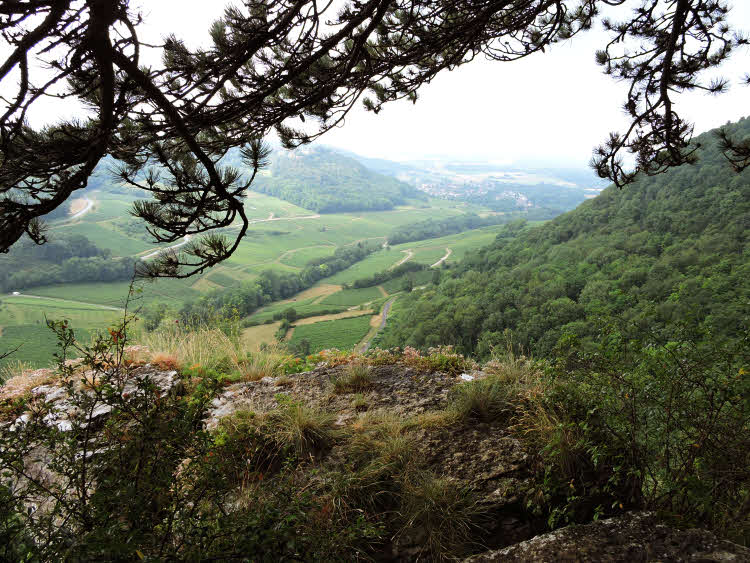 Panorama de Bourgogne Franche-Comté à proximité de Château-Chalon © ABCfeminin.com.