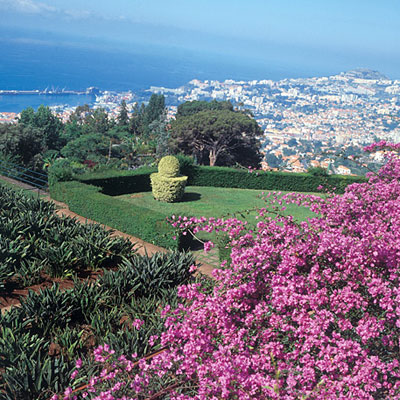 Jardin Botanique à Funchal, capitale de Madère © Marcial Fernandes.