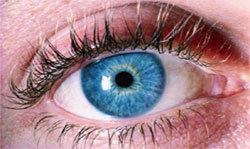 des cils qui poussent et s'allongent avec RevitaLash des cils qui poussent et s'allongent avec RevitaLash