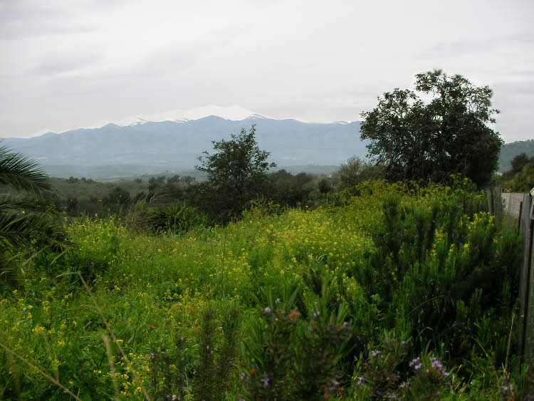 La Crète, sa beauté sauvage et ses vestiges historiques à découvrir La Crète, sa beauté sauvage et ses vestiges historiques à découvrir