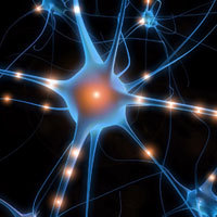 Neurone & synapses - meilleur soin anti-âge du cerveau
