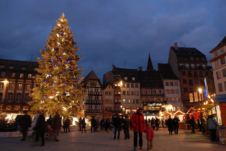 Le sapin géant de la place Kléber à Strasbourg (2011)