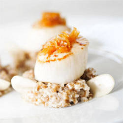 Recette de Grégory Cuilleron : noix de Saint-Jacques rôties au caramel ambré, parfum de citron et risotto d’épeautre aux amandes Recette de Grégory Cuilleron : noix de Saint-Jacques rôties au caramel ambré, parfum de citron et risotto d’épeautre aux amandes