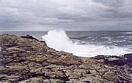 la côte la côte