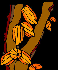 Cabosses poussant sur un cacaoyer Cabosses poussant sur un cacaoyer