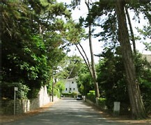 Les rues ombragées de La Baule