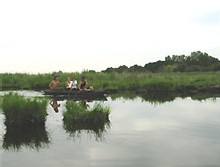 le Parc Naturel régionale de Brière