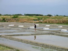 les marais salants de Guérande