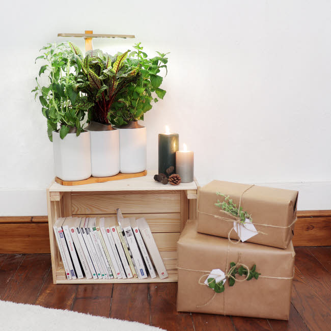 Potagers d'intérieur Lilo - Prêt-à-pousser. Potagers d'intérieur Lilo - Prêt-à-pousser.