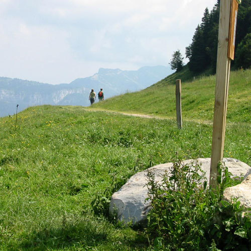 Le plateau du Vercors en été © DR