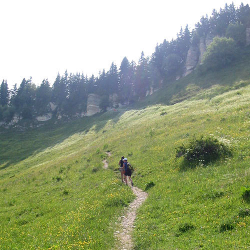 Euro Nordic Walk - Photo © DR Euro Nordic Walk - Photo © DR