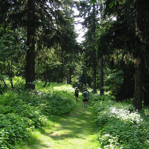 Marche nordique sur la massif du Vercors © DR