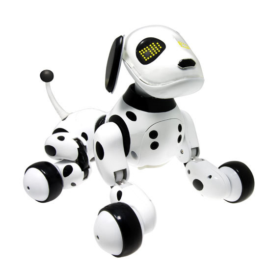 Chien robot ZOOMER