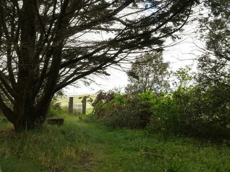 Vue sur la petite mer intérieure au fond du jardin de Germaine Tillion à Plouhinec  © ABCfeminin.com.