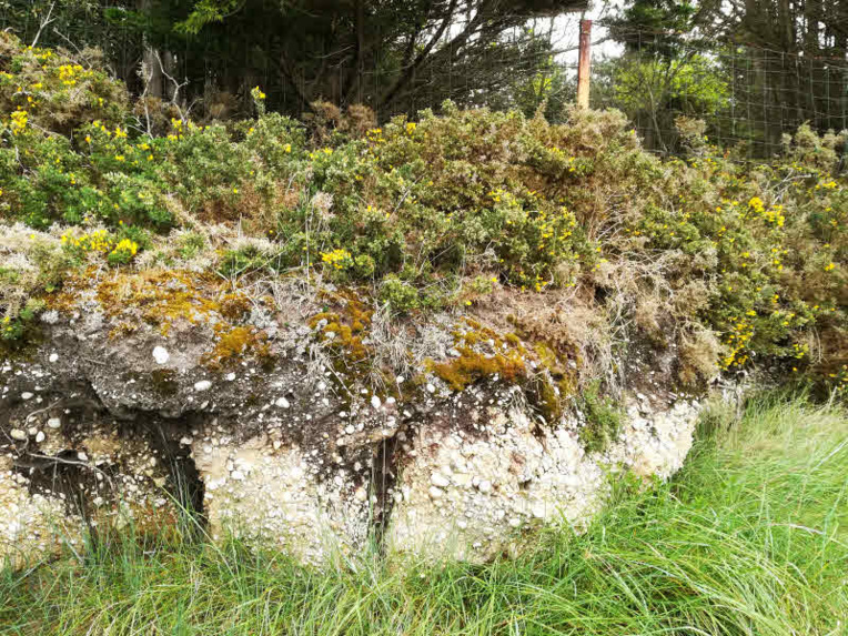 La plage fossile de la petite mer intérieure à Plouhinec © ABCfeminin.com. La plage fossile de la petite mer intérieure à Plouhinec © ABCfeminin.com.