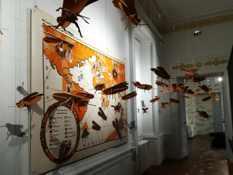 Scénographie immersive du Musée d’art et d’histoire de Cognac pour l'exposition Phylloxera, une épopée humaine et scientifique. (Création Nicole Masset et Simone Rabaud) - © ABCfeminin.com.