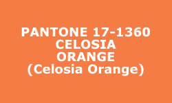 Couleur Celosia Orange - Pantone®