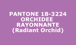 Couleur Orchidée Rayonnante (Radiant Orchid) - Pantone®