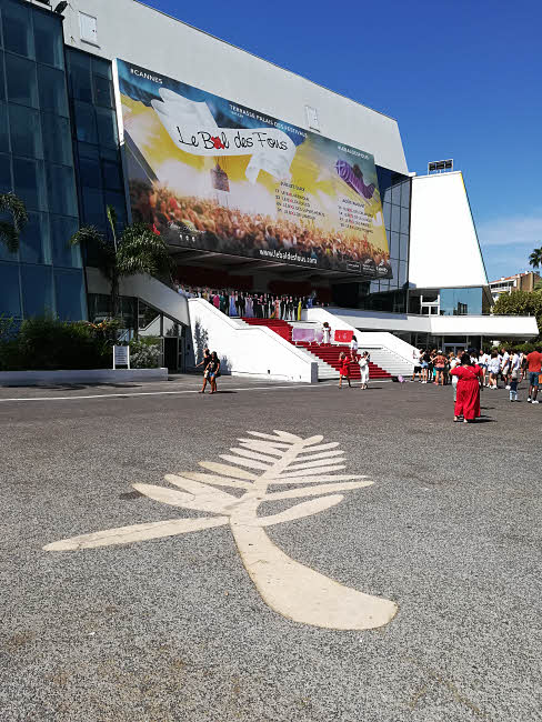 Vacances à Cannes : détente, nature, culture… et des stars