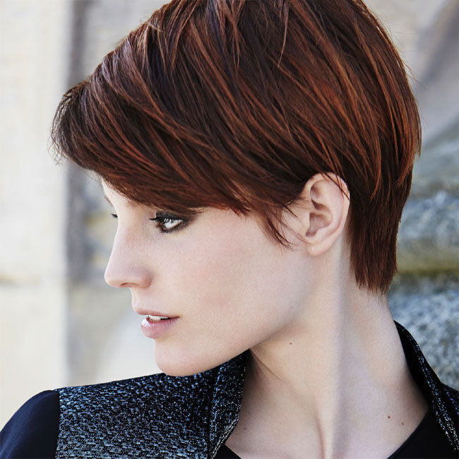 coiffure cheveux courts - JEAN-LOUIS DAVID - tendances automne-hiver 2014-2015