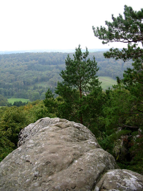 Panorama du Mullerthal au Luxembourg (D.R.)