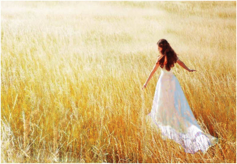 Les vêtements pour femmes à avoir dans son placard. Les vêtements pour femmes à avoir dans son placard.