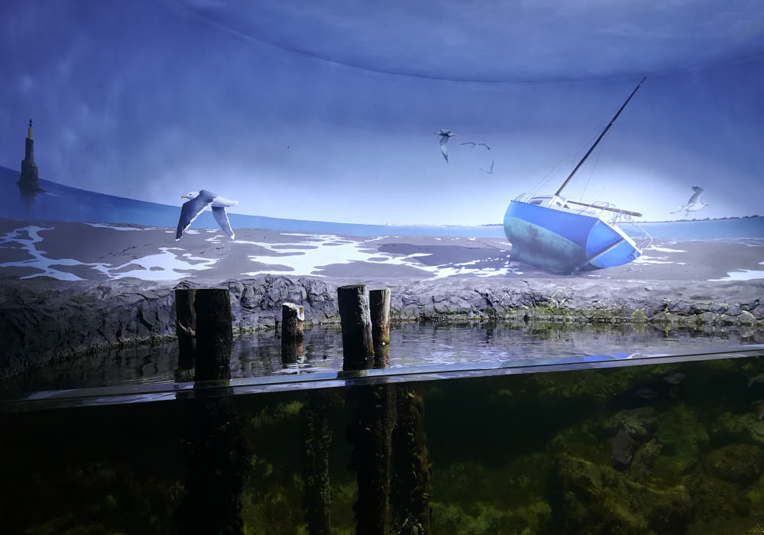 Un des bassins de l'Aquarium de La Rochelle qui en possède plus de quatre-vingts. © C.C. Halusiak/ABCfeminin.com. Un des bassins de l'Aquarium de La Rochelle qui en possède plus de quatre-vingts. © C.C. Halusiak/ABCfeminin.com.