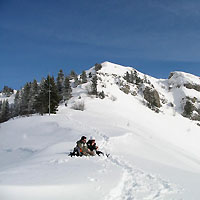 les abords de la réserve naturelle de La Chartreuse (D.R.)