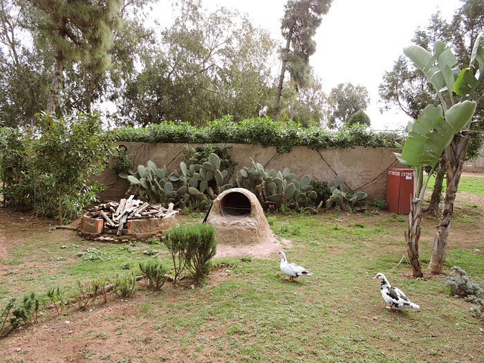 La ferme du Mazagan D.R.).