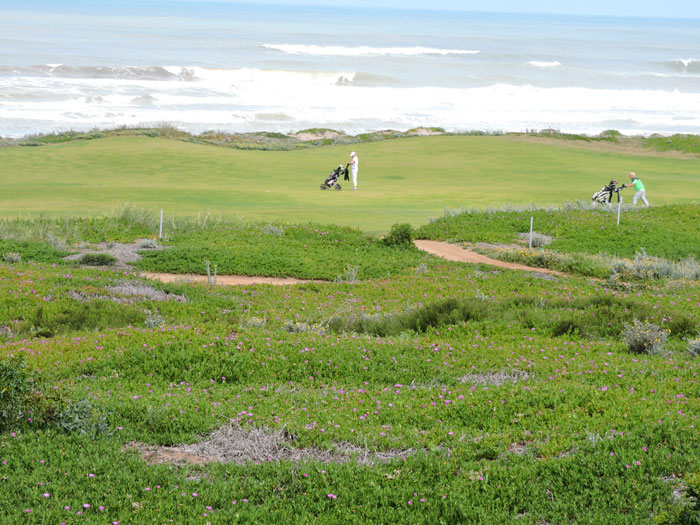 Le golf '18 trous' du Mazagan (D.R.). Le golf '18 trous' du Mazagan (D.R.).